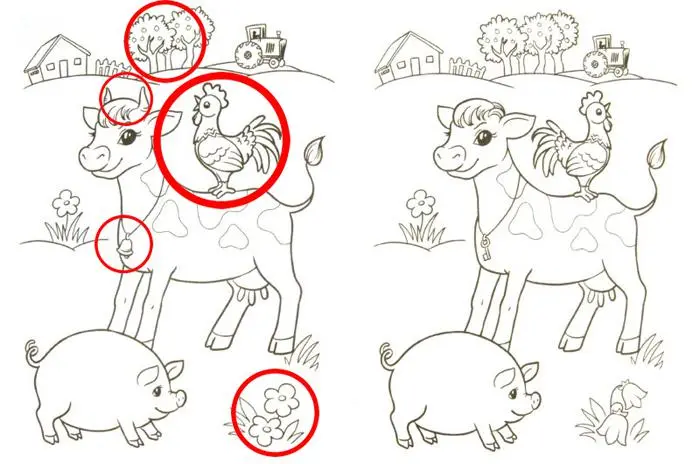 5 отличий на рисунке с домашними животными