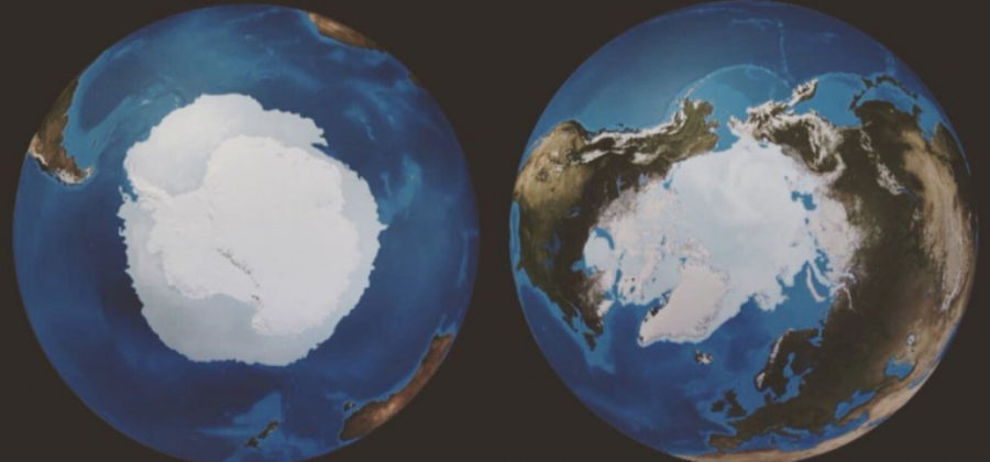 Чем Арктика отличается от Антарктики?